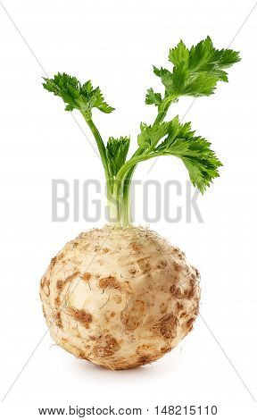 Fresh celery root with leaf isolated on white background vertical photo. Celery isolated on white. Healthy food