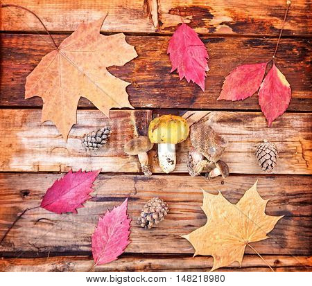 Concept Of  Autumn Forest, Yellow Leaves, Mushrooms And Cones On The Wooden Background. Beautiful An