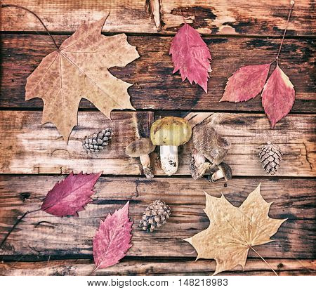 Concept Of  Autumn Forest, Yellow Leaves, Mushrooms And Cones On The Wooden Background. Beautiful An