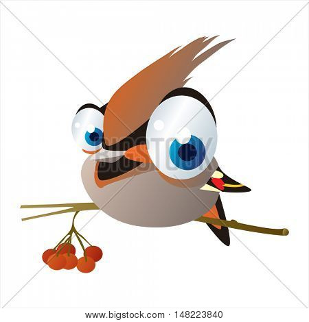 vector cartoon cute animal mascot. Funny colorful cool illustration of happy Waxwing bird