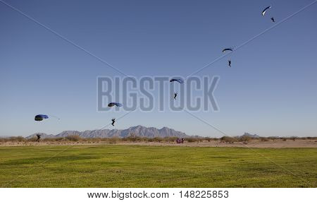 Compilation of Skydivers approaching for landing with a blue sky