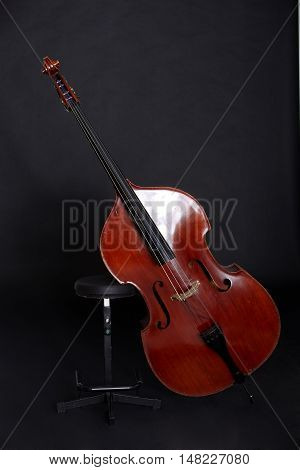 Upright Bass Images, Illustrations, Vectors - Upright Bass Stock Photos