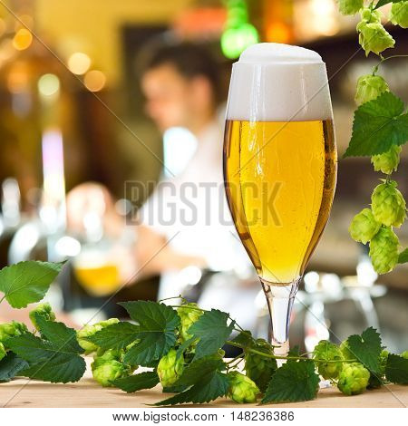 Beer glass and hops in the pub