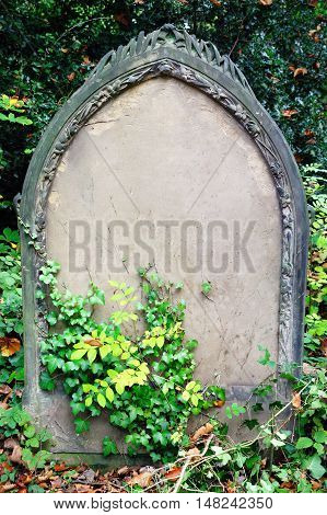 Blank tombstone grave of a recent funeral burial in an old cemetery with copy space for Halloween gravestone horror death backgrounds