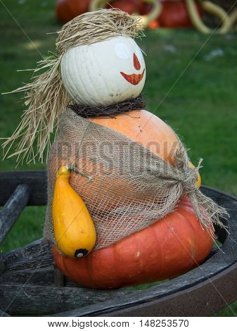 many pumpkins at thanksgivin in a german garden