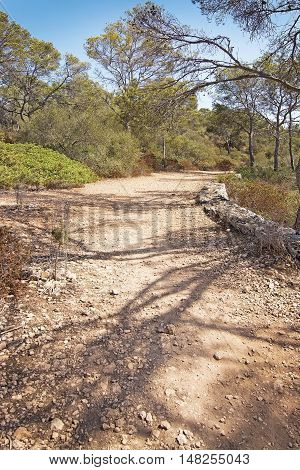 Cala Mondrago natural reserve park on a sunny day in September in Mallorca Spain.