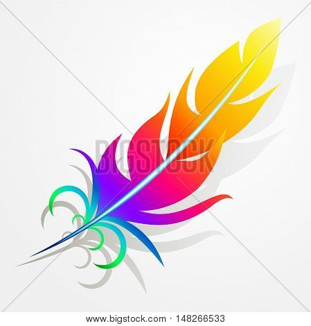rainbow feather with gray shadow on a gray background