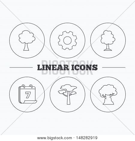 Pine tree, oak-tree icons. Forest trees linear signs. Flat cogwheel and calendar symbols. Linear icons in circle buttons. Vector