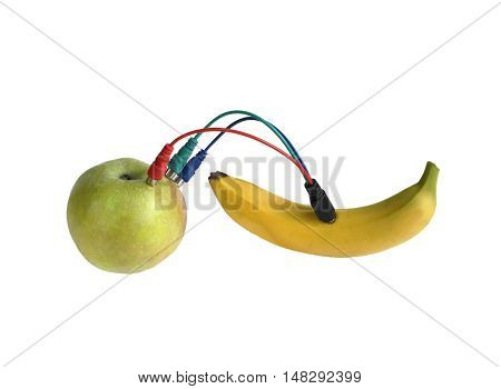 paradox. two fruits are connected by cable to exchange information.
isolate on white background without shadows. easy to cut for your project.