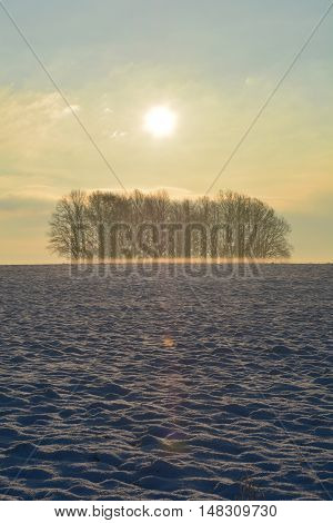 Sunrise in the winter , Forest in the background , the snow field in the foreground