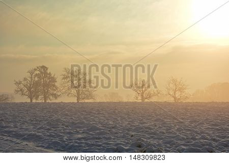 Sunrise in winter with trees, snow and fog