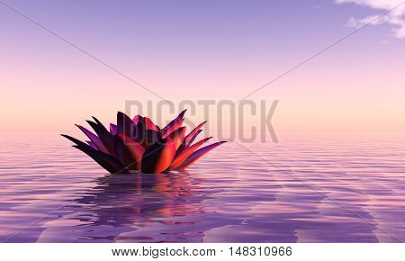 3d illustration water lily floating in the water and sunset
