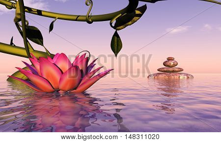 3d illustration water lily floating in the water and sunset