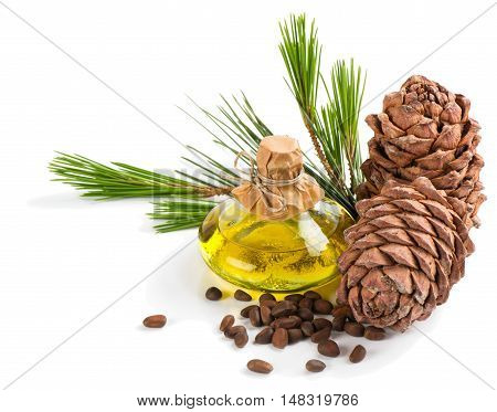 Cold pressed extra virgin cedar oil in bottle with nuts cones and branch of cedar isolated on white background.