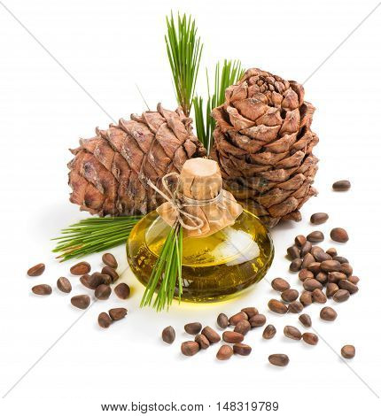 Cedar nuts cones and extra virgin cedar oil in bottle decorated with twigs of cedar tree isolated on white background.
