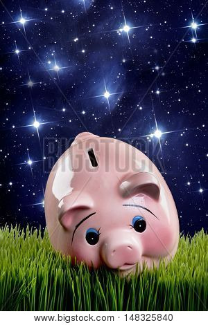Pink piggy bank at dusk with room for your type.