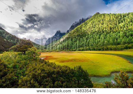 Yading Nature Reserve, Daocheng County, Sichuan, China