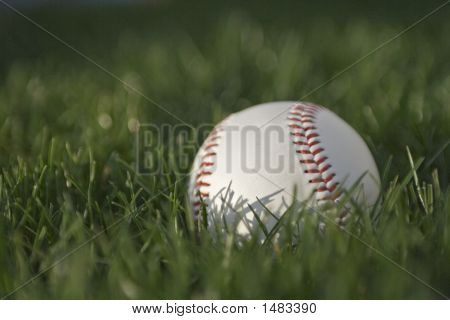 Baseball v trávě