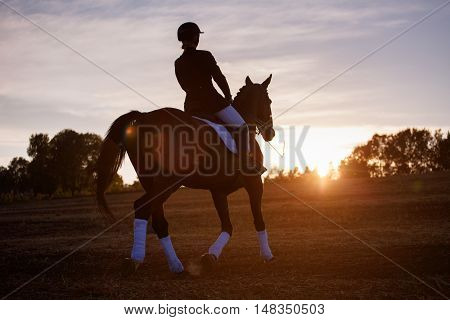 Silhouette of a woman riding a horse at sunset