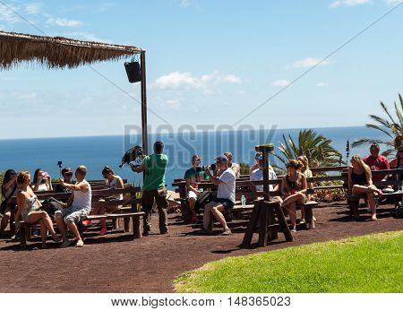 LA LAJITA FUERTEVENTURA SPAIN - SEPTEMBER 11 2015: Bird of Prey Show Oasis Park Fuerteventura Canary Island Spain