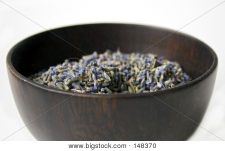 Lavanda