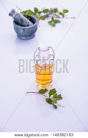 Ayurvedic Tulsi oil or holy basil oil