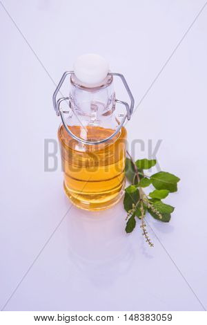 Ayurvedic Tulsi oil or holy basil oil