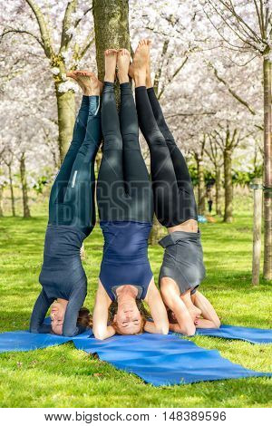 Group of barefoot young women practising yoga - a supported headstand pose.