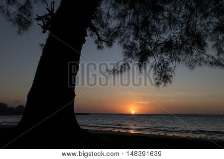 Tropical beach landscape with a trees silhouettes during sunset at Kg.Pohon Batu LABUAN F.T MALAYSIA, January 2016