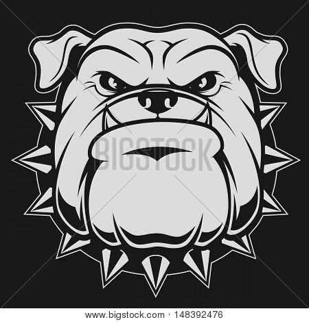 Vector illustration head ferocious bulldog mascot on a black background