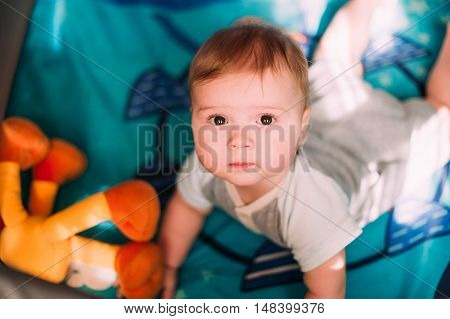 Cute Little Baby Boy Playing In Colorful Playpen, Indoors. Beautiful Child Having Fun At Nursery.