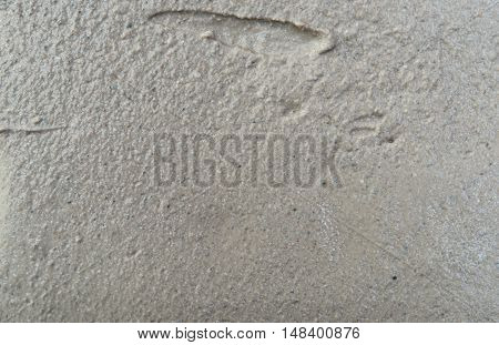 Background of the fresh cement solution texture