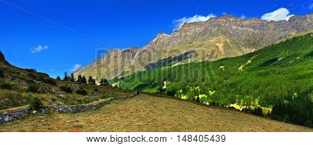 panoramic view on alpien rocks mountains with hayfield
