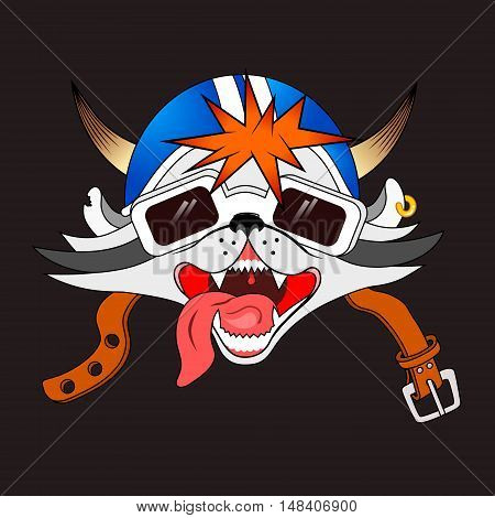 Raccoon biker in glasses and a helmet with horns