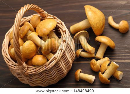 Edible bovine bolete mushrooms in a wicker basket.