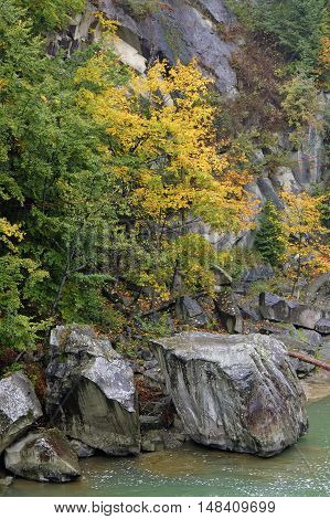 The bank of the Prut river in Carpathians at cloudy autumn day