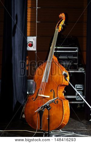 Big Bass Viol On The Scene Before The Concert