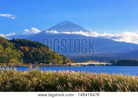 Mount Fuji