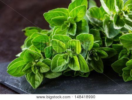 Fresh oregano on black stone table. Bunch of oregano Background