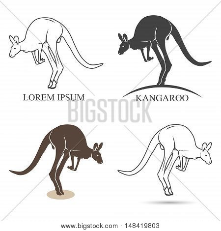 Set of emblems icons and labels kenguru. Vector illustration.