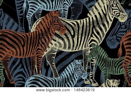 Seamless vector pattern with African animals. Colored Zebra on a black background. Template to create fabric Wallpaper paper textiles curtains design summer clothes in the style of Safari.