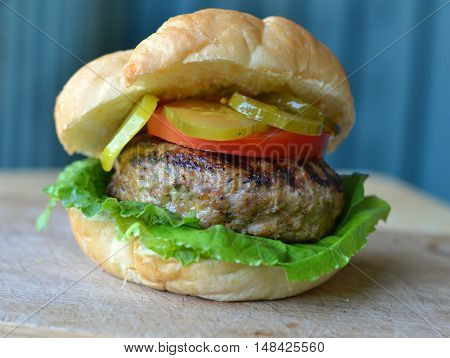 Grilled Turkey or Chicken Burger served garniched with a tomato slice, pickles and lettuce.