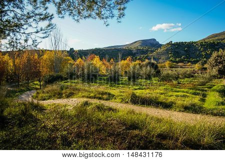 Autumn landscape with colorful leaves, river and reflections in water in Caravaca de la Crus, Spain