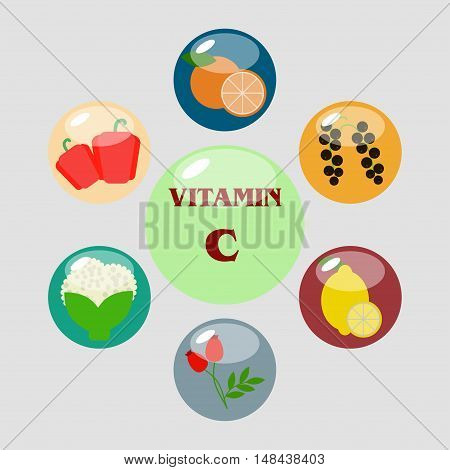 Vitamin C vector illustrations. Foods high in vitamin C