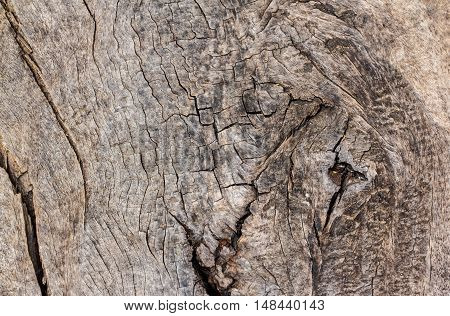 The Wood texture background beautiful Naturally occurring.