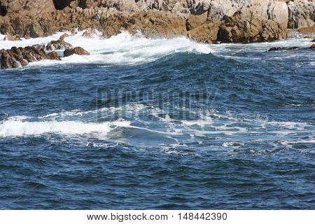 This is an image of the incoming tide at Asilomar Beach
in Pacific Grove, California.