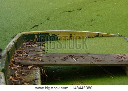 close up of part of green rowing boat submerged in water with leaves.