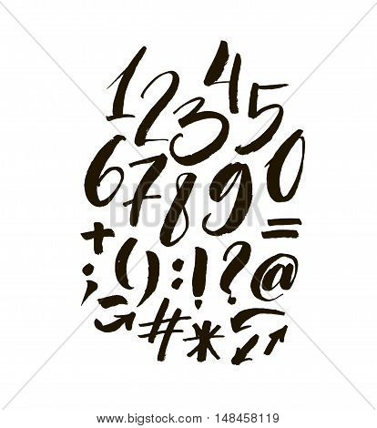 Collection of hand drawn numbers and orthographic symbols. Ink illustration. Modern brush calligraphy. Isolated on white background.