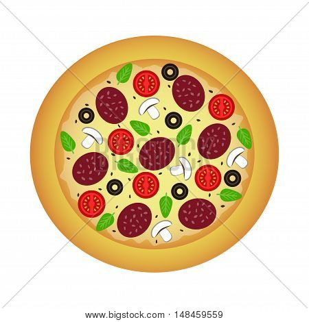 Round hot delicious tasty pizza. Vector illustration