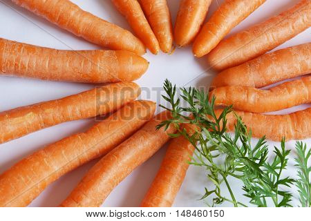 fresh carrots lay in a circle with leafes